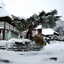 눈꽃초밥 이미지