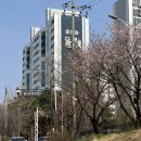강변영양탕 이미지