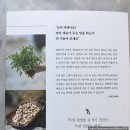 교사 엄마, 예술가 아이와 함께 산전수전 공중전(0703) | 요리 9단 보현 스님의 살맛 나는 밥상 (책리뷰22-25)