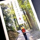 제주불교성지 순례길 절로가는길 - 선정의 길 | [ 시코쿠를 걷는 여자 ] 최상희 - 일본 시코쿠 1,200km 순례길 여행기