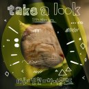 떼껄룩(TAKE A LOOK) 이미지