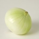 신진광택 이미지