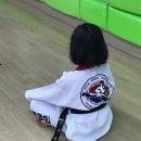 용인대래미안태권도장 이미지