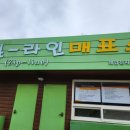 초원 숲속 야영장 이미지