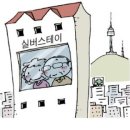 스테이 보다 이미지