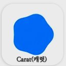 놀부광고디자인 | Carat(캐럿) 활용가이드