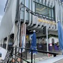 부산여행의 백미 해운대 블루라인 파크, 해변열차 해운대 스카이 캡슐