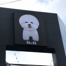 B&B(바비브라운 비숑프리제) 이미지