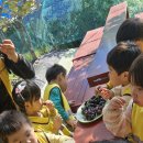 신기한농장 이미지