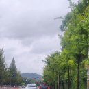 시곡중 | CPM대여-서울대병원 무릎 수술 후 집에서 재활-인공관절 수술 후 집에서 재활-시곡중학교-사리역