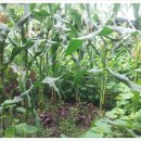 이승농장 이미지