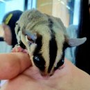 마리앤쥬 이미지