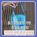 텀블러가방 추천 - 즐거운파파게노 드링크백 실사용 후기