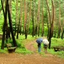 학가산우래자연휴양림 이미지