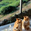 유로펜션 이미지