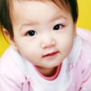 장예진 Daum카페