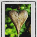 바이오포인트 이미지