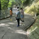 파인짐(FINE GYM) | 6월 홍콩 2박 3일 - 2일차: 완차이 보웬로드, 파인프린트, 킨카오, 서구룡문화지구 M+, 그랜드마제스틱...