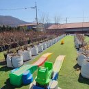 들가운데농장 | 용인) 포레스트벨 체험농장│딸기+동물 농장 아이와 체험 후기