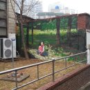 송림4동 주민센터 이미지