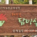 닭마실 이미지
