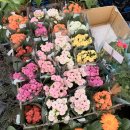 씨유 여주세종점 | 이공이공 3월 일상 🎵