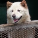 일재농장 이미지