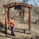 원주굽이길 원2코스 구학산둘레숲길 이미지