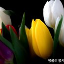 정직의 의미 이미지