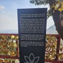 이화바로약국 | 대전 유성구 점집 제석궁 이화도령 연애운 점사 후기