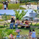 밀주초등학교 이미지