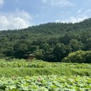 군동라천민박 이미지
