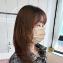 제이원빌딩 | 안산 하이 레이어드컷 한대앞 미용실 푸석한 모발도 매끈하게 케라틴 클리닉 전후 비교