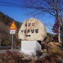 토함산 자연휴양림 이미지