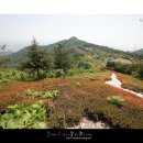 영인산자연휴양림 이미지