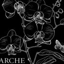 울산광역시 남구 신정3동 행정복지센터 이미지