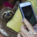 인천중학교 내 이미지