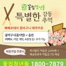 청년꽃집 이미지