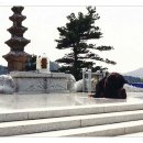 설악민박 이미지