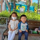 무지개어린이집 이미지