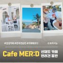 반려견 | 카페 메르디(선재도) 반려견 동반 후기: 바다 뷰 감성적인 곳