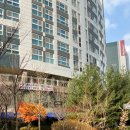 진조개 | [수영기록] 초보 수친자는 특강까지 간다! (with굿나잇진조)