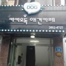 루이비똥 개 애견샵 이미지