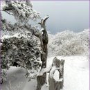 안성리-3 이미지