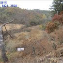 미천면-14 네이버블로그