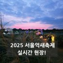 학익어린이공원 삼거리2 | 2025 서울억새축제 실시간 후기 상암 하늘공원 야경 명소 이렇게 예뻤나?(ft. 가을 국내여행 추천!)