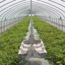 권오선농장 이미지