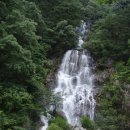 구룡폭포농로 이미지