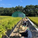 예산군치매안심센터 이미지