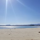 등기산스카이워크 이미지